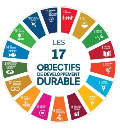 Illustration des 17 objectifs de développement durable de l'ONU